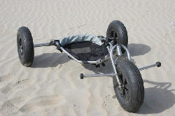 Buggy Std