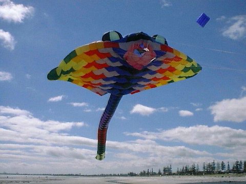 Pic Of Kites