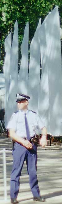 White feathers at Hyde Park, Sydney