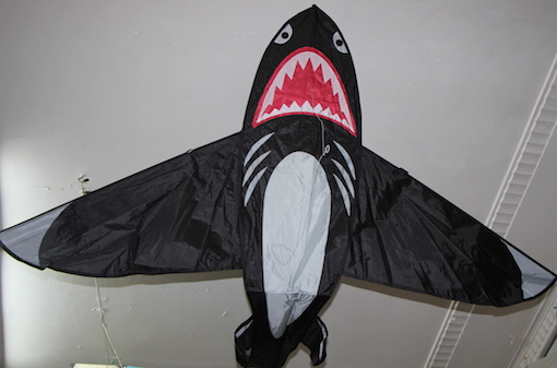 Shark Kite