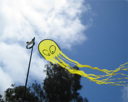 Peter Lynn Octopus Kite